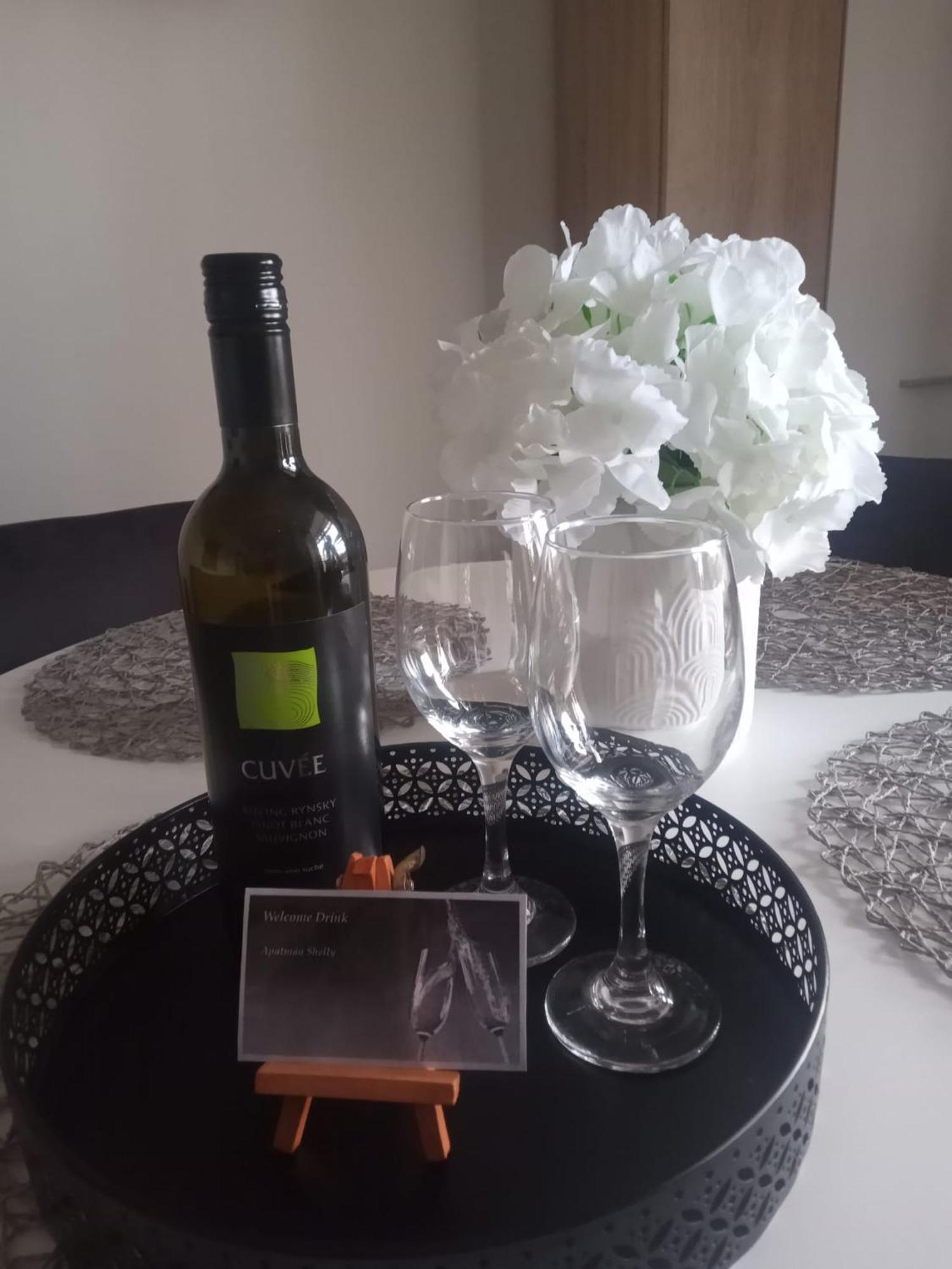 Apartman Shelly Vlachy Esterno foto